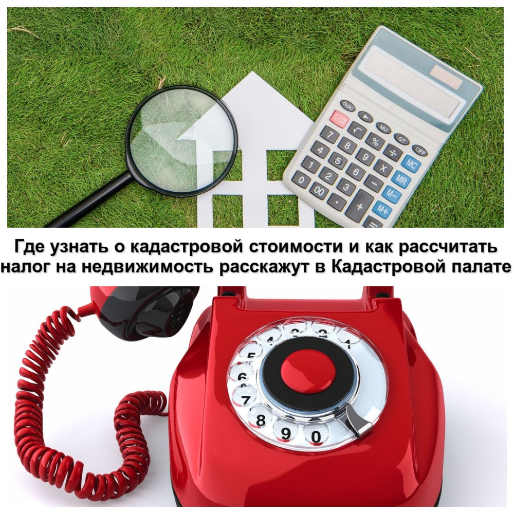 Где узнать о кадастровой стоимости и как рассчитать налог на недвижимость расскажут в Кадастровой палате Где узнать о кадастровой стоимости и как рассчитать налог на недвижимость расскажут в Кадастровой палате