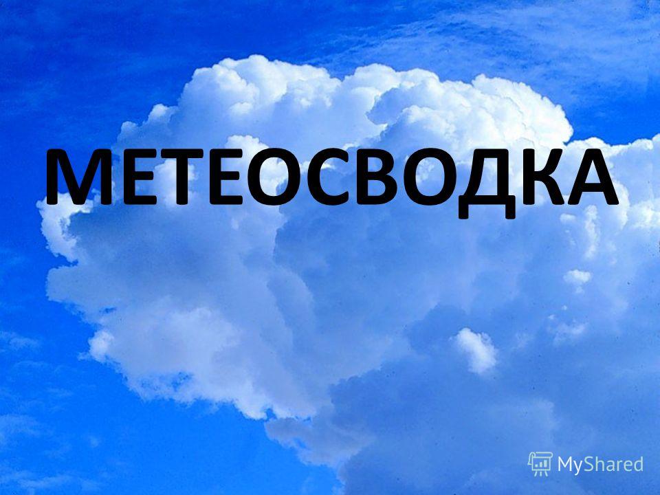 Метеоконсультация №6 от 5 июня 2020 года
