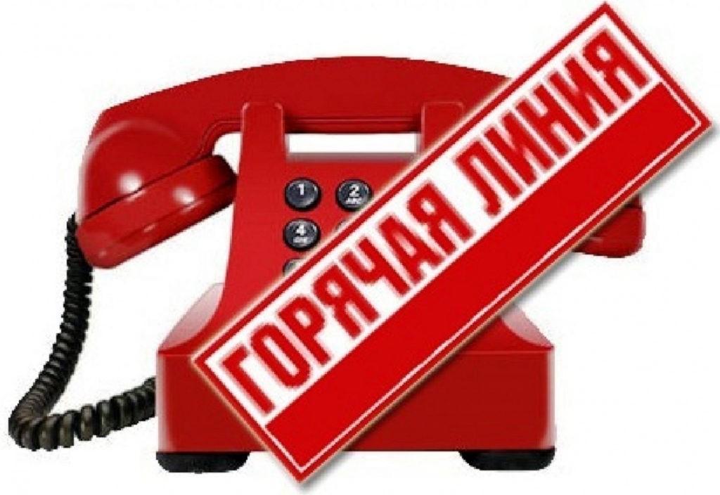 Начало работы горячей линии. Начало работы горячей линии.